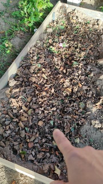 26-09-2025 осень