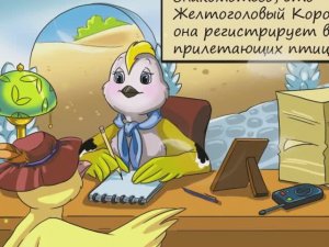 Орнитологическая станция "Фрингилла" - стр.1: Прибытие птиц