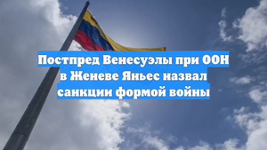 Постпред Венесуэлы при ООН в Женеве Яньес назвал санкции формой войны
