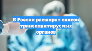 В России расширят список трансплантируемых органов