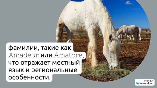 Фамилия Амадор: происхождение, история и значение – все, что вы хотели знать о склонении этой