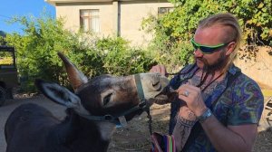 Ослик и СерГо / proSerGo
нашли общий язык и удовольствие