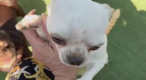 Встречают как будто три дня меня дома не было.