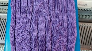 Узор с элементами колоска из 9 петель