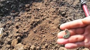 НЕВЕРОЯТНАЯ НАХОДКА УРАА. ПОИСК ПО СТАРЫМ МЕСТАМ. ПРИМОРСКИЙ КРАЙ.