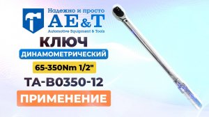 Ключ динамометрический 65-350Nm 1/2" TA-B0350-12 AE&T