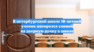 В петербургской школе 10-летний ученик напоролся спиной на дверную ручку в школе