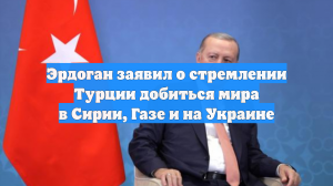 Эрдоган заявил о стремлении Турции добиться мира в Сирии, Газе и на Украине