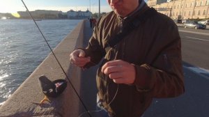 Возвращение Судака Мудака 2