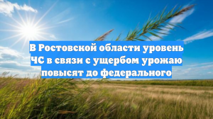 В Ростовской области уровень ЧС в связи с ущербом урожаю повысят до федерального