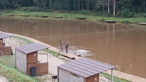 Forest Fishing 27.09.25