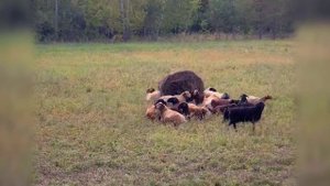 Велозаброска 125 км