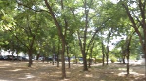 Еще один солнечный день, украденный у осени.