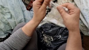 Треплем овечью шерсть вручную. Кошка Катюша помогает. Подготовка шерсти к чесанию.