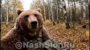 Фронтовые будни..