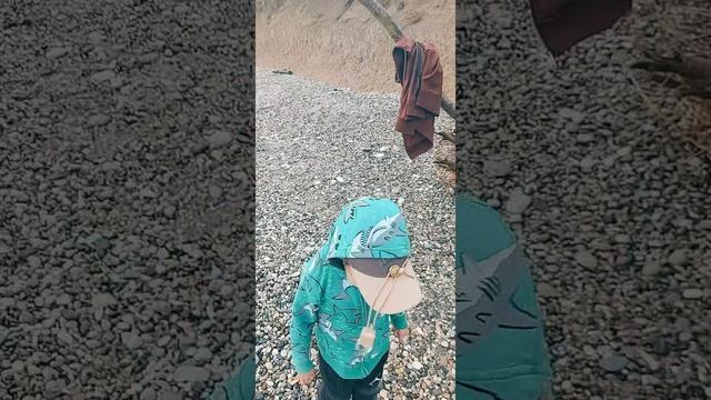 Приморское 26 сентября 2025г сегодня море тёплое Абхазия рифычпроверит