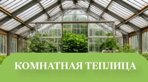 Самое главное это освещение теплицы.