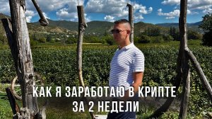 Самый быстрый заработок в криптовалюте за 2 недели! Что я делаю прямо сейчас?