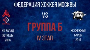 Детский хоккей. Группа Б. Ястребы 2016. Федерация хоккея Москвы. ФХМ.