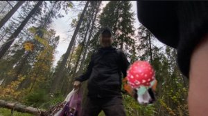 ВИДЕО НА ФОН - ПРОГУЛКА В ЛЕСУ - ВСТРЕТИЛА НЕЗНАКОМЦА С МУХОМОРОМ - ШЕПОТ АСМР