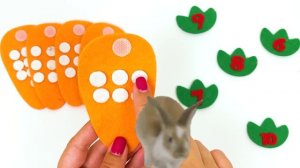 Повторяем цфры от 1 до 10 с кроликом