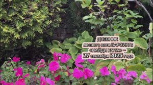 ДНЕВНИК лесного кота Барсика: «Найди кота» - 27 сентября 2025 года