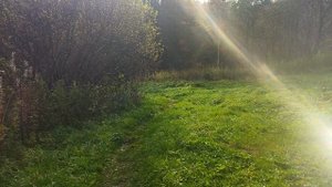 киалимский кордон