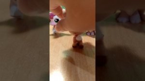 обзор всех моих петов 1 часть