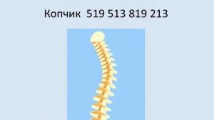 Восстановление позвоночника (Учение Г.П. Грабового)