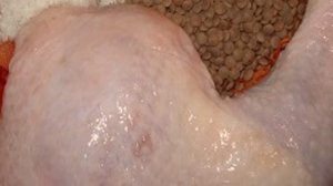 Куриный суп в мультиварке Поларис