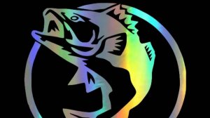 Первый полосатый на спиннинг