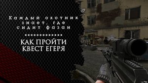 Каждый охотник знает, где сидит фазан. Тарков. Как пройти задание