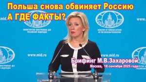 Польша снова обвиняет Россию. А где факты?