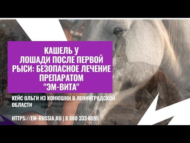 Кашель у лошади после первой рыси: безопасное лечение препаратом 