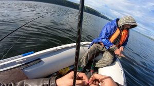 Ангара Хариуз