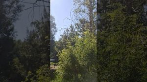 24.06.2025г, я на Базе отдыха Байкал МО РФ, уезжаю