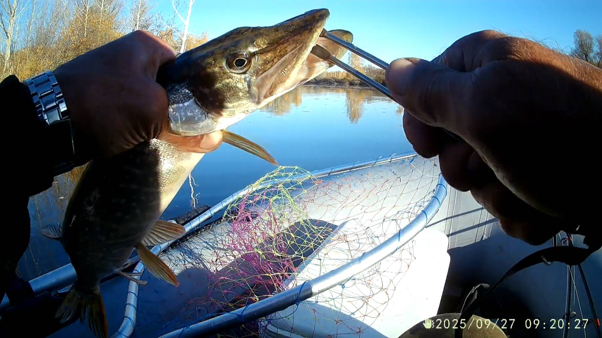 2025-09-27 Ключики Начало листопада