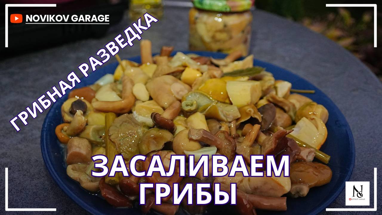 Грибная разведка - засаливаем грибы. Как солить горькушки ? смотреть онлайн