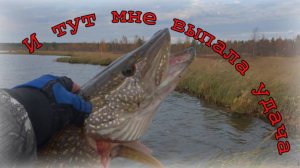 Обхожу вокруг озера и рыбачу рыбу