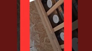 1000035646.mp4 (Собака наблюдает за устройством плоскости каркаса, обрезкой пола в доме А-фрейм)