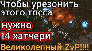 Старкрафт - Супер PvZ!! Даже ультралискам (!) порою приходилось спасаться бегством. Где это видано?
