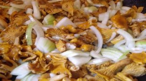 Лисички по-корейски