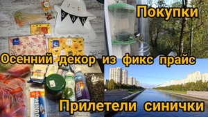 Осенний декор из фикс прайс. Осень. Покупки. Доделала потолок.
