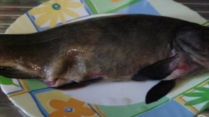 Линь жареный