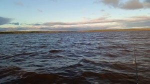Кречетово приезд!