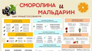 СМОРОЛИНА И МАЛЬДАРИН.