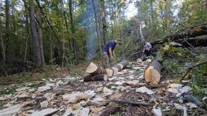 24.09.25 ПОРУБАС #46