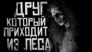 ДРУГ,КОТОРЫЙ ПРИХОДИТ ИЗ ЛЕСА..Страшные истории на ночь