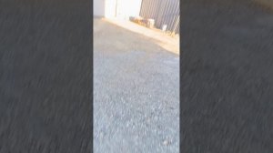 ВЛОГ КУКЛЫ СОНИ |СВАДЬБА| ПЬЯНАЯ ДРАКА?!