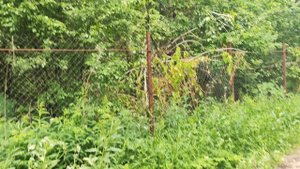VID_20250610_133053